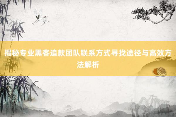 揭秘专业黑客追款团队联系方式寻找途径与高效方法解析