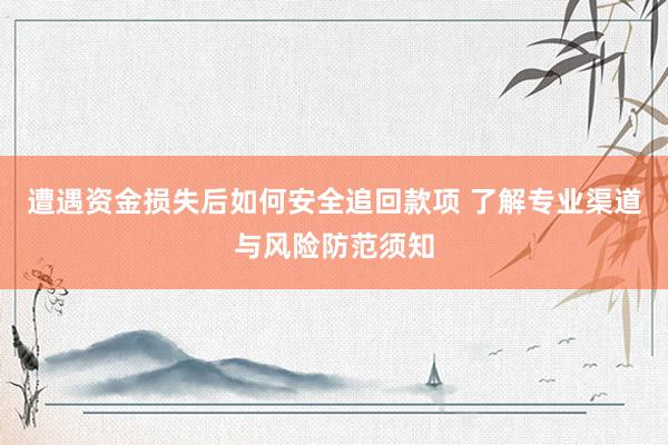遭遇资金损失后如何安全追回款项 了解专业渠道与风险防范须知