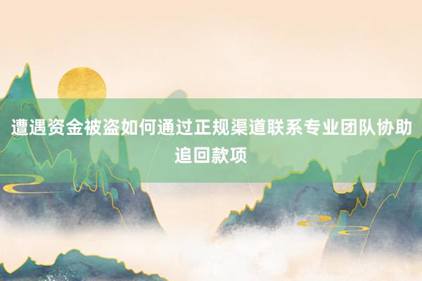 遭遇资金被盗如何通过正规渠道联系专业团队协助追回款项